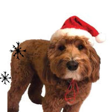 Load image into Gallery viewer, Santa's Hat