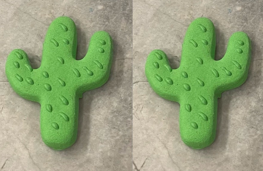 Cactus Treats - Set of 2