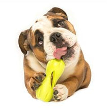 Load image into Gallery viewer, West Paw - Qwizl Puzzle & Treat Toy