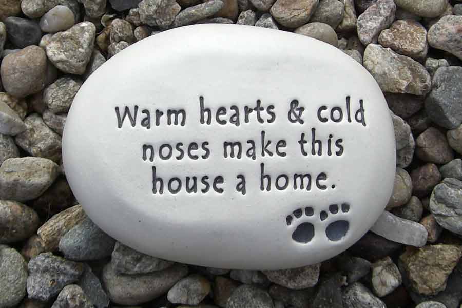“Warm hearts & cold noses make this house a home.”