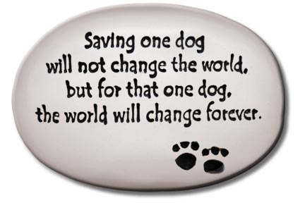 “Saving on dog will not change the world…”