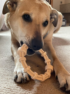 SodaPup Honey Bone Chicken Flavored Teething Ring For Aggressive Chewers