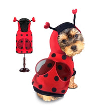 Load image into Gallery viewer, Ladybug Costume